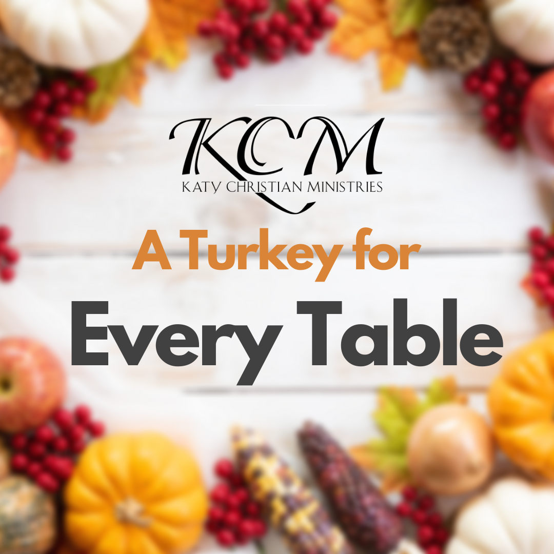 Turkey for Every Table