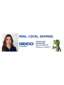 GEICO transparent